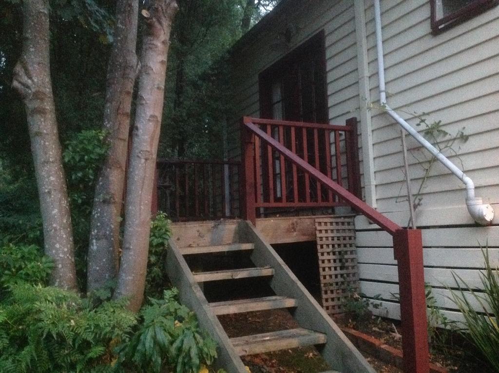Belgrave Hideaway Bed & Breakfast Dış mekan fotoğraf